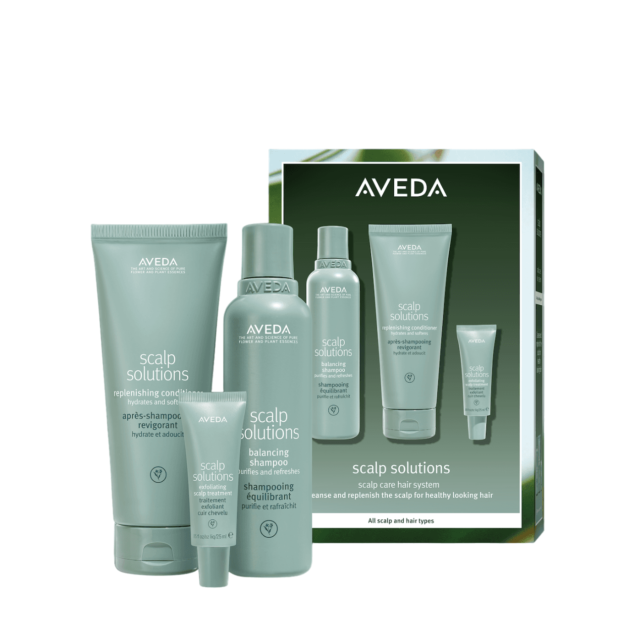 Aveda Scalp Solutions Set