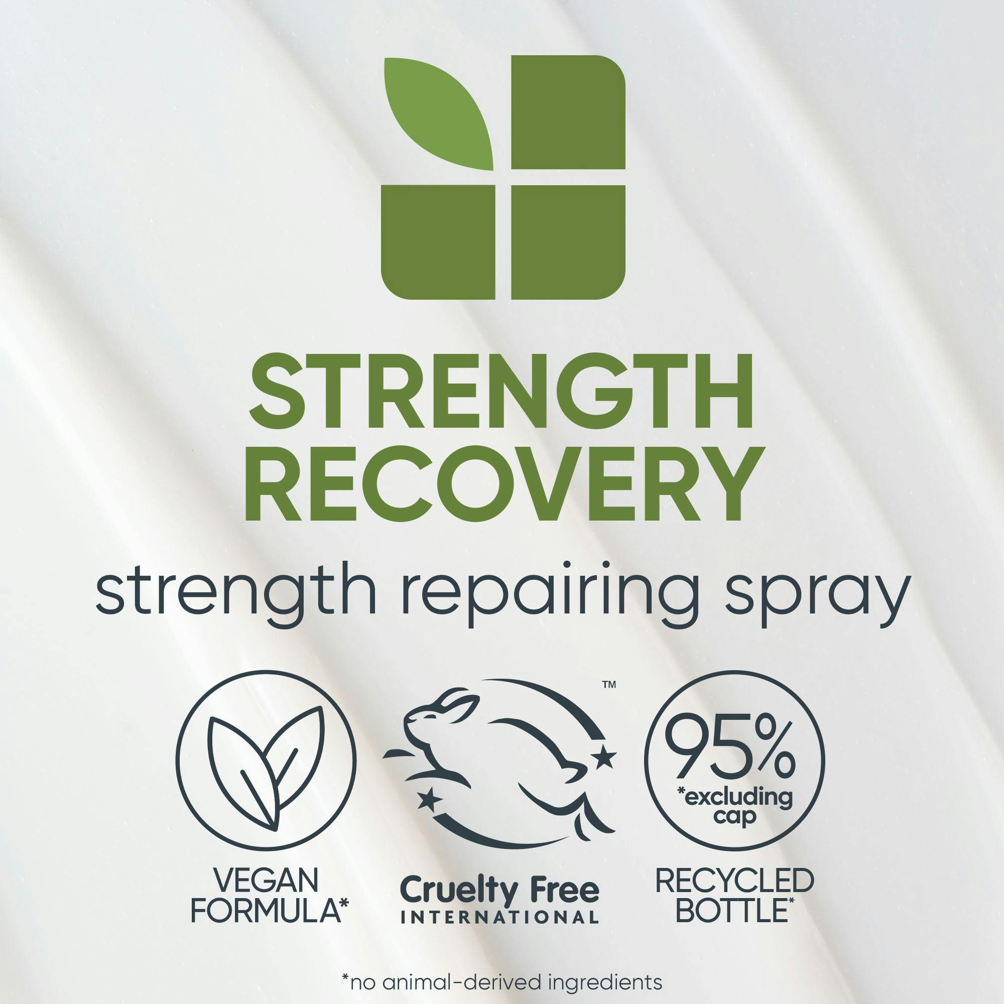 Biolage Strength Recovery Repairing Spray 232ml