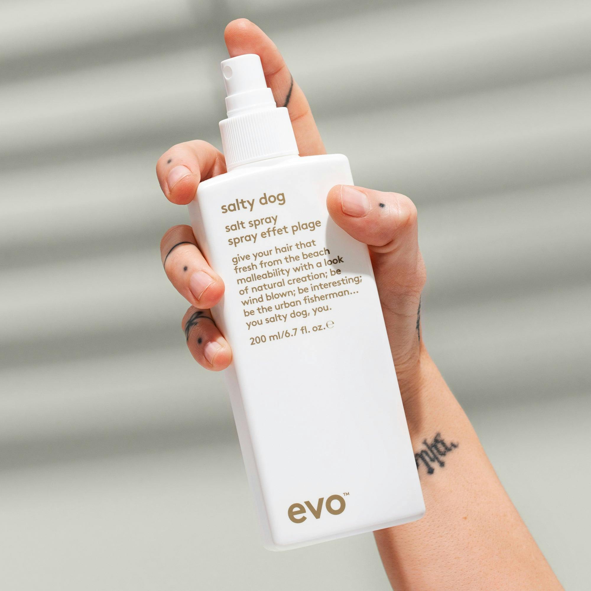 Evo Salty Dog Salty Spray and Haze Styling Powder Duo Bundle
