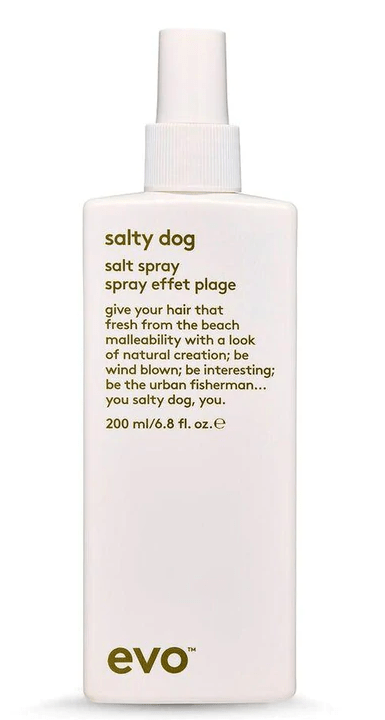 Evo Salty Dog Salty Spray and Haze Styling Powder Duo Bundle